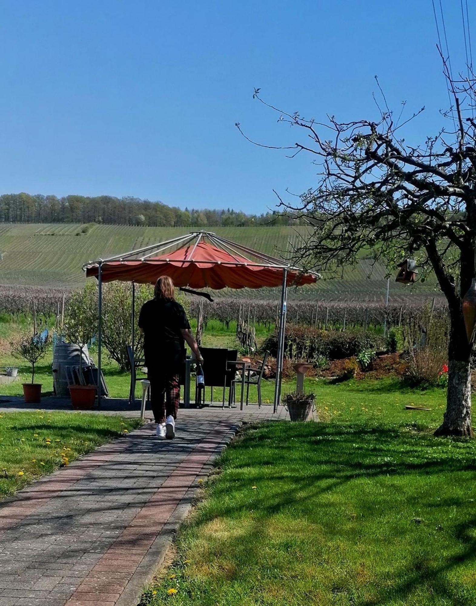 Weingut Tiliahof Bed & Breakfast Brauneberg Exterior photo