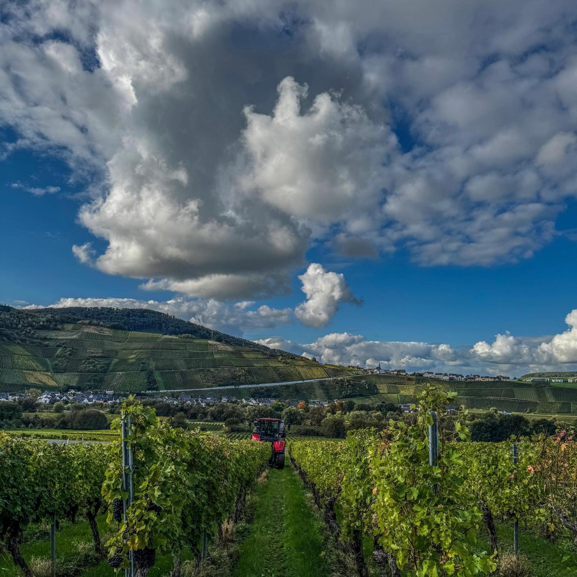 Weingut Tiliahof Bed & Breakfast Brauneberg Exterior photo